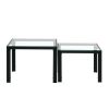 Nesting Coffee Table Set of 2;  Square Modern Stacking Table with Tempered Glass Finish for Living Room; Transparent