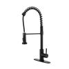 Household & Commercial Pull-Down Sprayer Spring Kitchen Sink Faucet