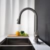 Single Handle High Arc Brushed Nickel Pull out Kitchen Faucet,Single Level Stainless Steel Kitchen Sink Faucets with Pull down Sprayer