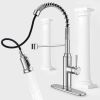 Household & Commercial Pull-Down Sprayer Spring Kitchen Sink Faucet