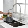 Household & Commercial Pull-Down Sprayer Spring Kitchen Sink Faucet