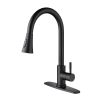 Single Handle High Arc Brushed Nickel Pull out Kitchen Faucet,Single Level Stainless Steel Kitchen Sink Faucets with Pull down Sprayer