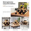 Kitchen Natural Bamboo Products Wine Rack Display Storage Holder  Shelf